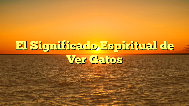 El Significado Espiritual de Ver Gatos