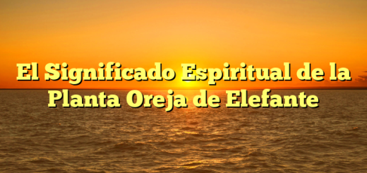 El Significado Espiritual de la Planta Oreja de Elefante