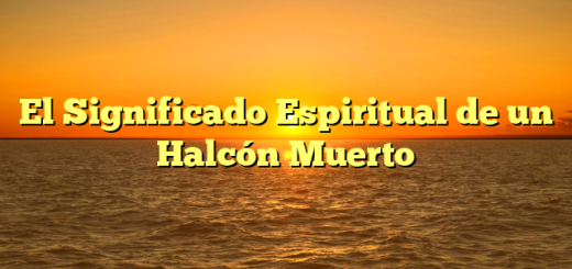 El Significado Espiritual de un Halcón Muerto