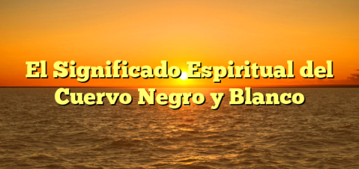 El Significado Espiritual del Cuervo Negro y Blanco