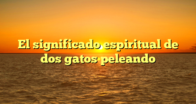 El significado espiritual de dos gatos peleando