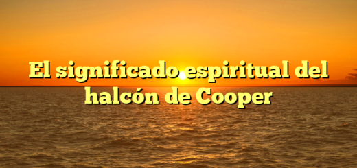 El significado espiritual del halcón de Cooper