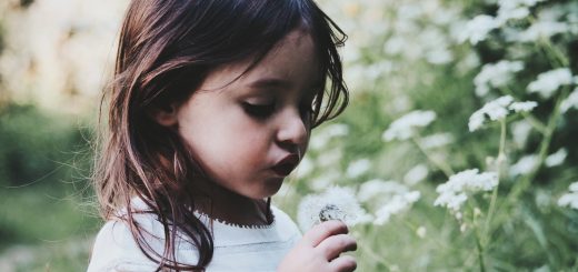 girl holding white flower during daytime