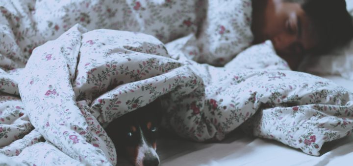 man lying on bed beside short-coated black dog