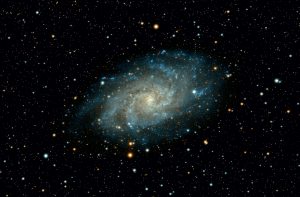 The Best Tiktok Challenges In 2025 Going Viral Now