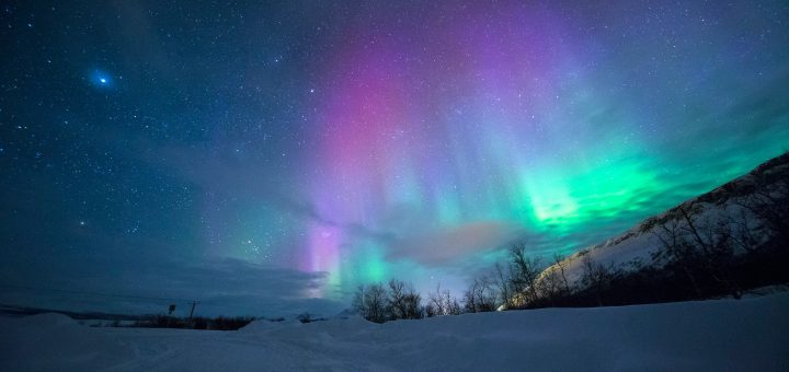 Духовное значение имени Давид