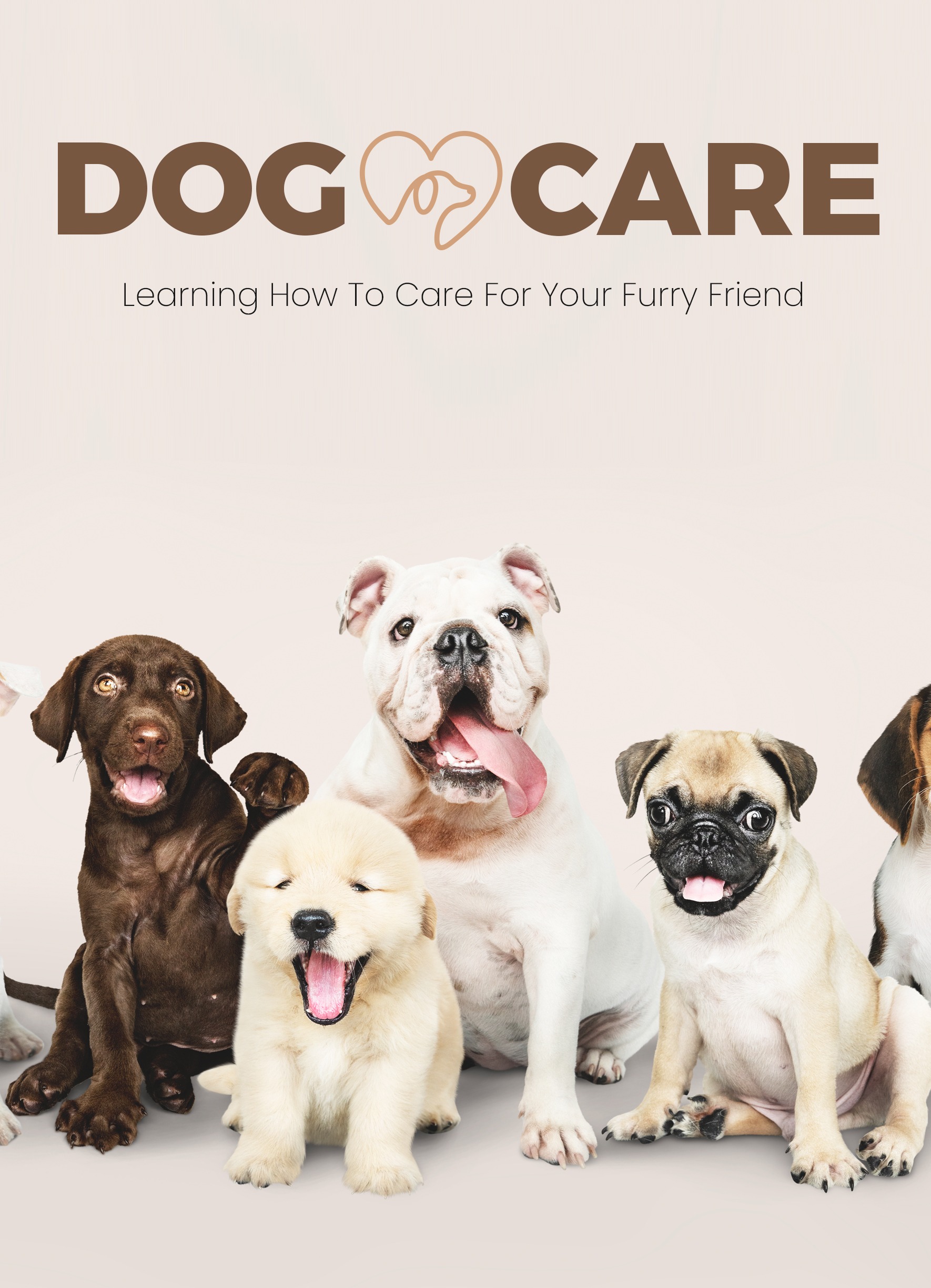 Dog Care: Learning How to Care for Your Furry Friend 🐾